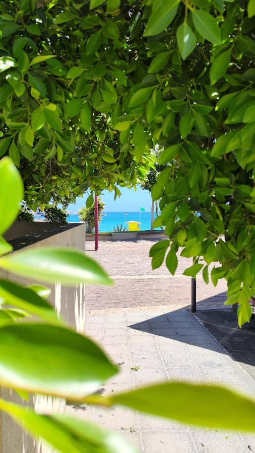 Fabelo Apartment, Puerto Del Rosario بويرتو ديل روزاريو المظهر الخارجي الصورة